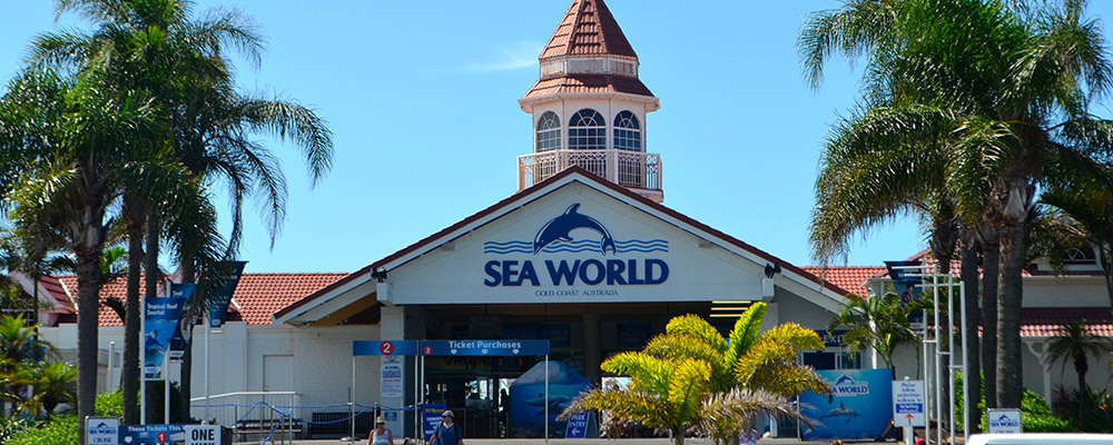 Seaworld-Resort-Main-Beach
