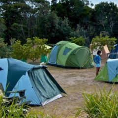 Top 3 Campgrounds on the Gold Coast